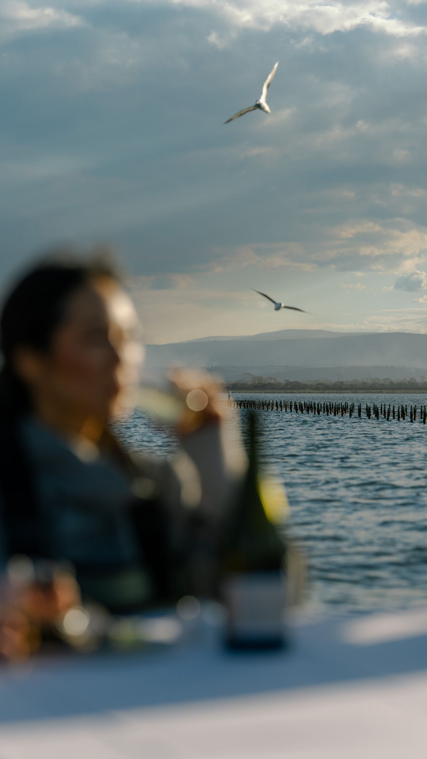 Marine Oyster Farm 6255