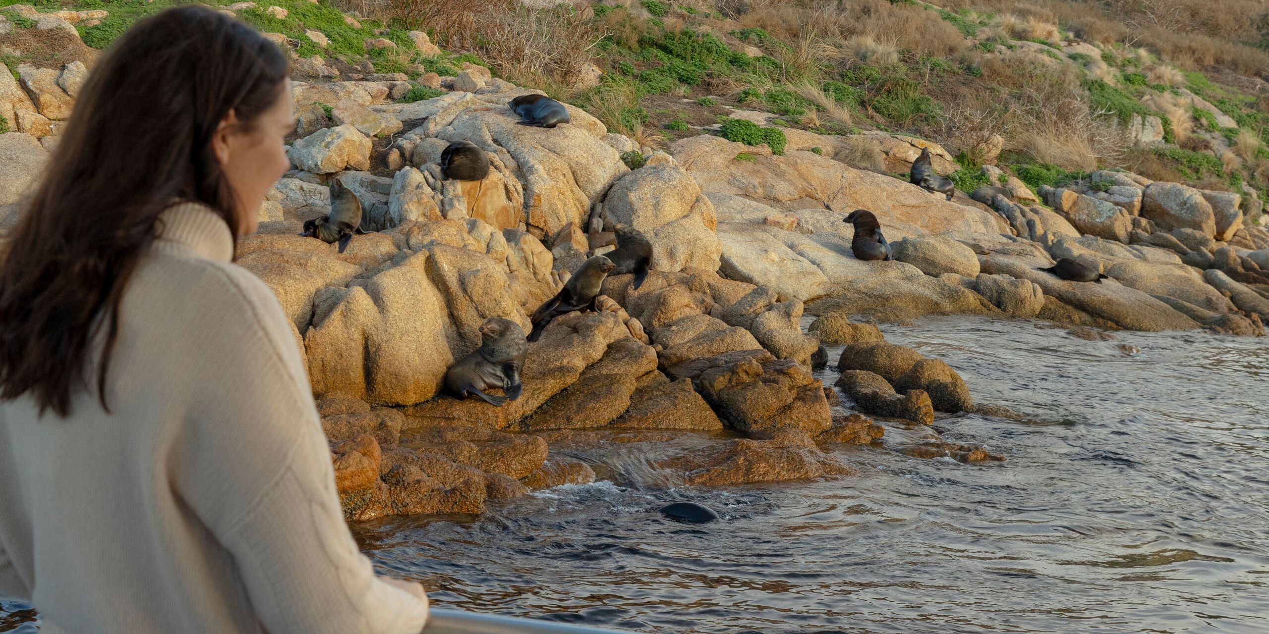 Wildlife and Wilderness Cruise 8