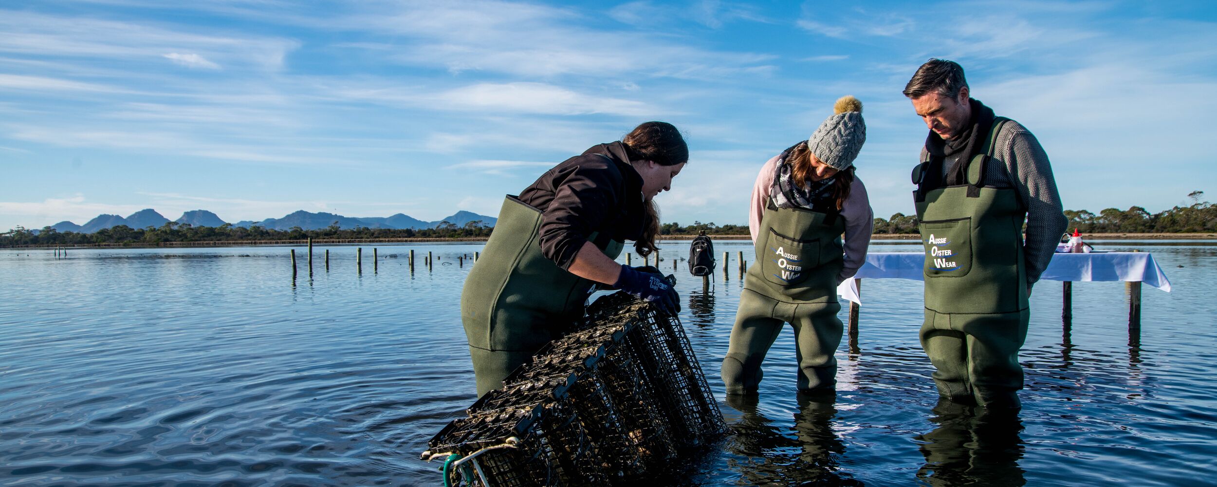 Oyster Farm 09