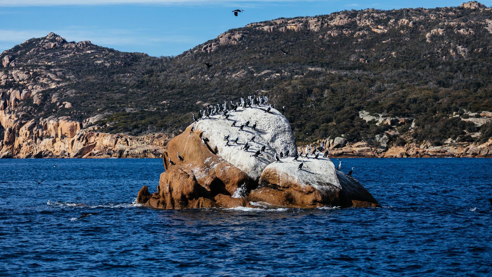 Saffire Boat 76