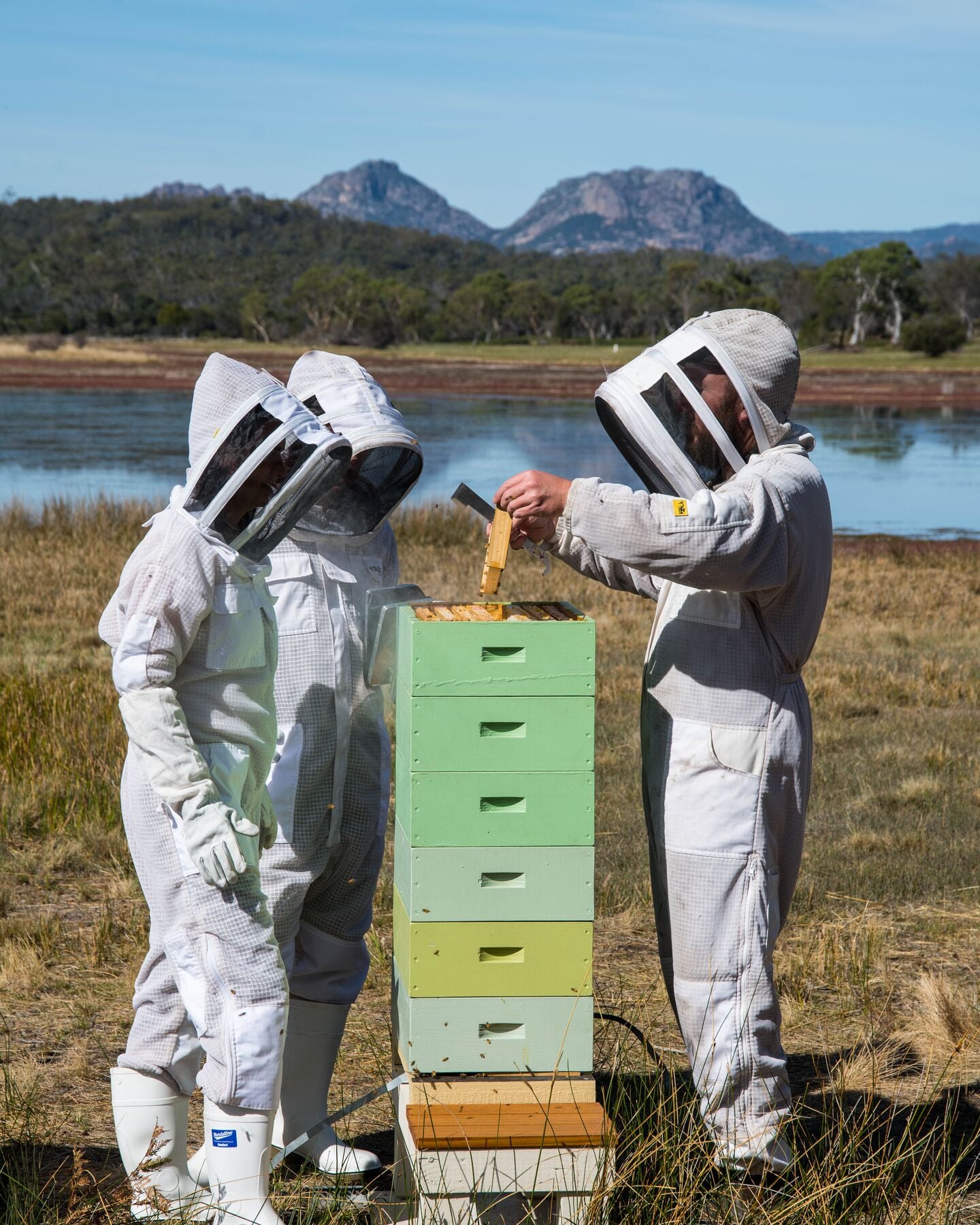 Bee Keeping 082