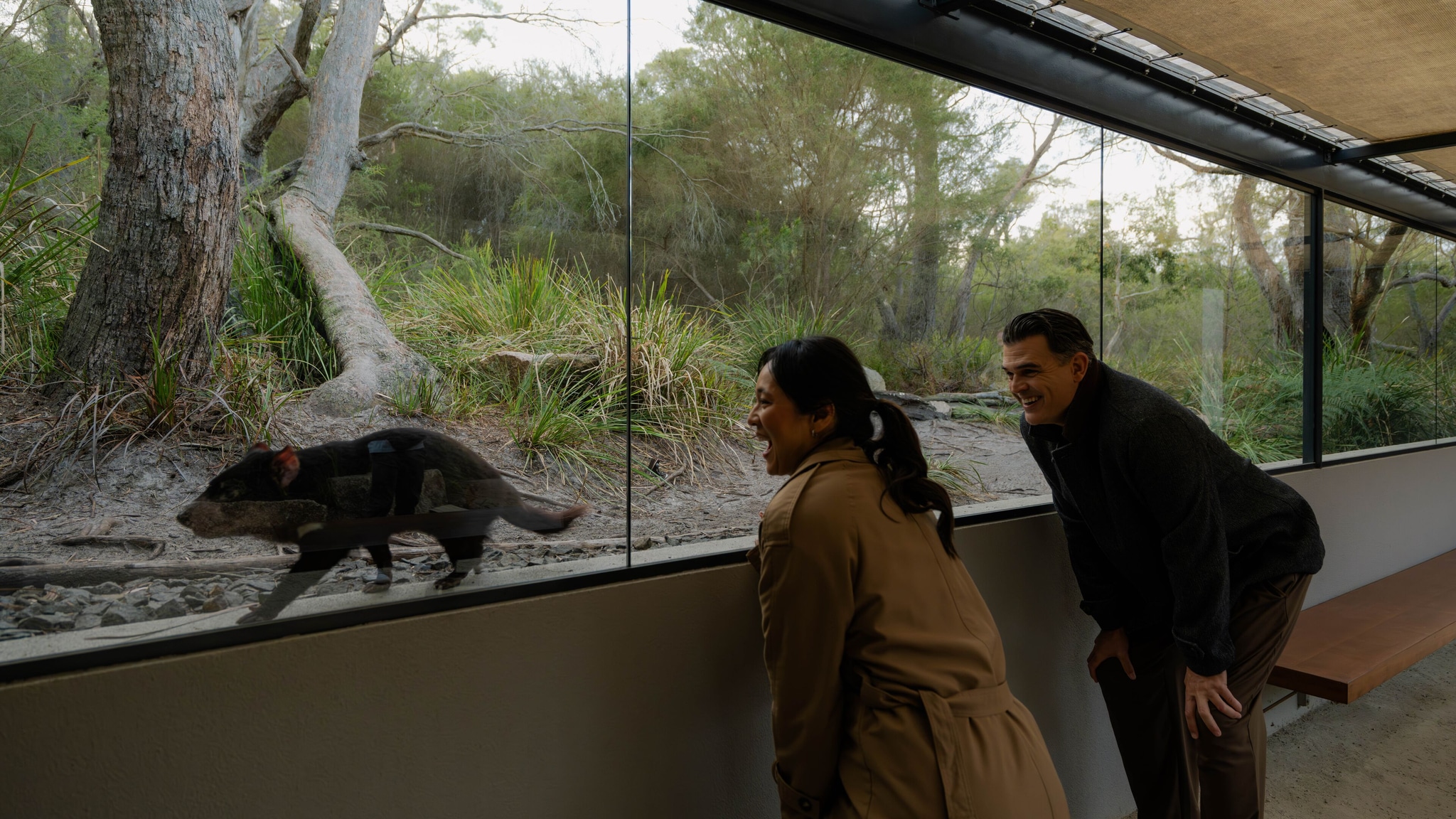 Tasmanian Devils Experience 2118