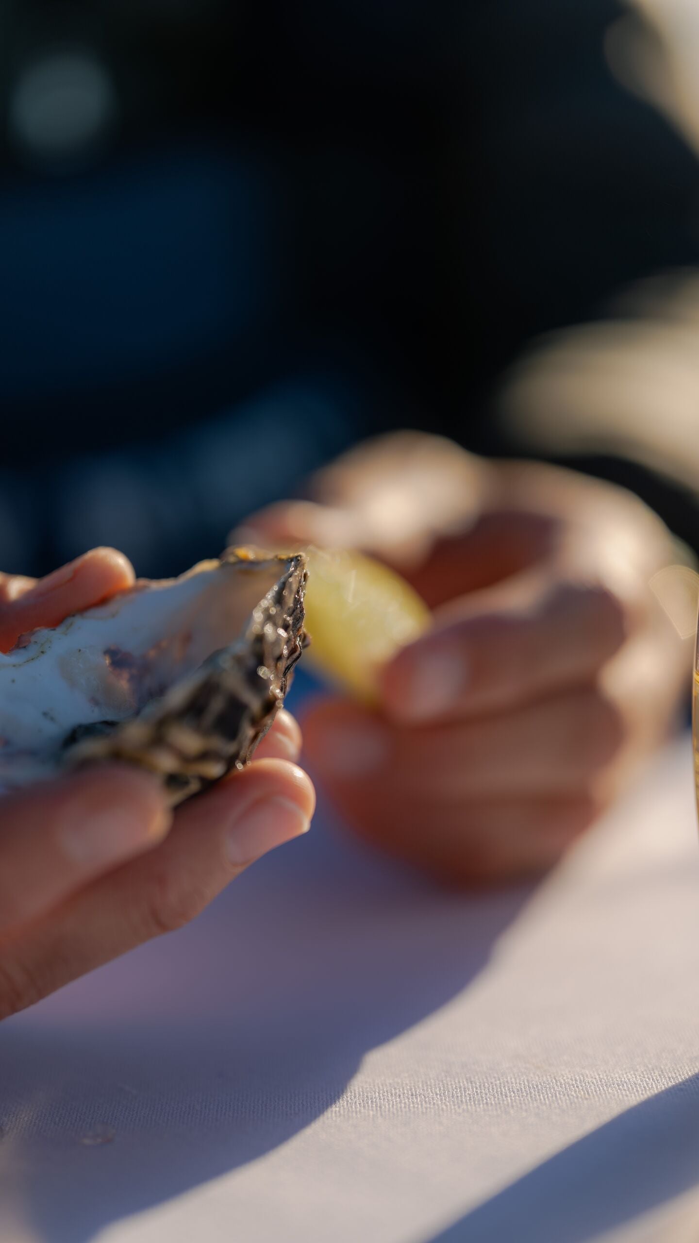 Marine Oyster Farm 5898