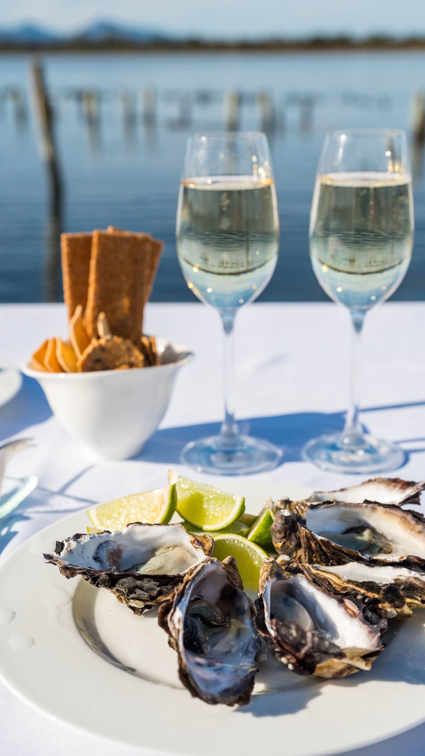 Oyster Farm 14
