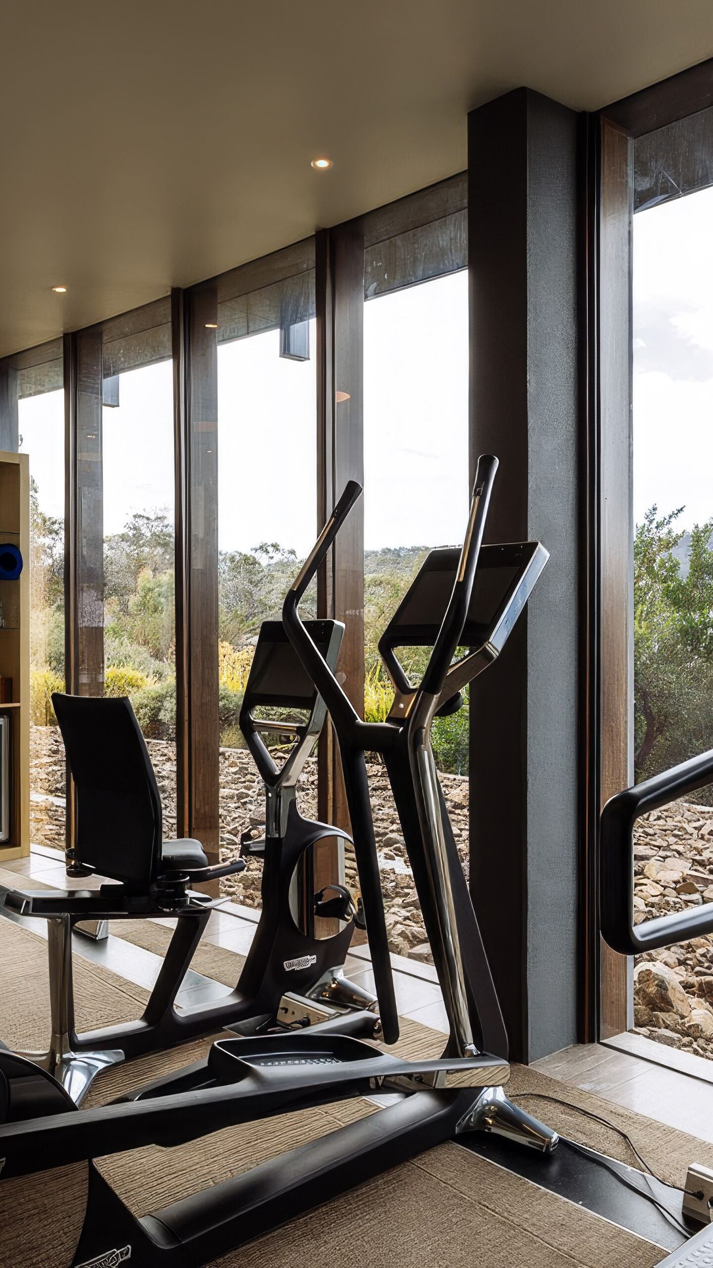 Saffire Gym 1