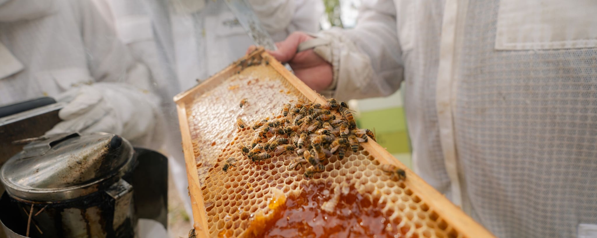 Saffire Bee Keeping 7927