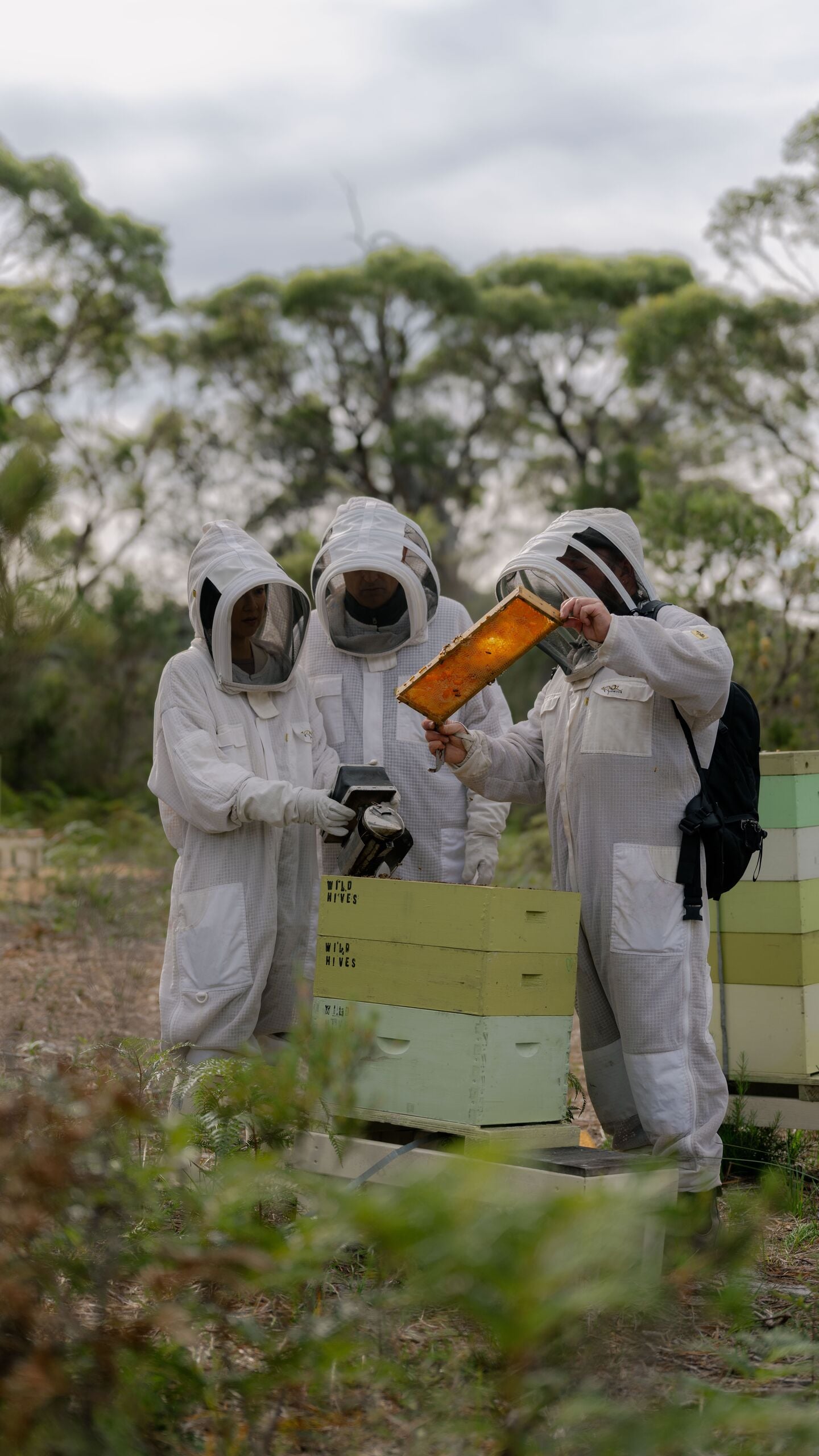 Bee Keeping 7880
