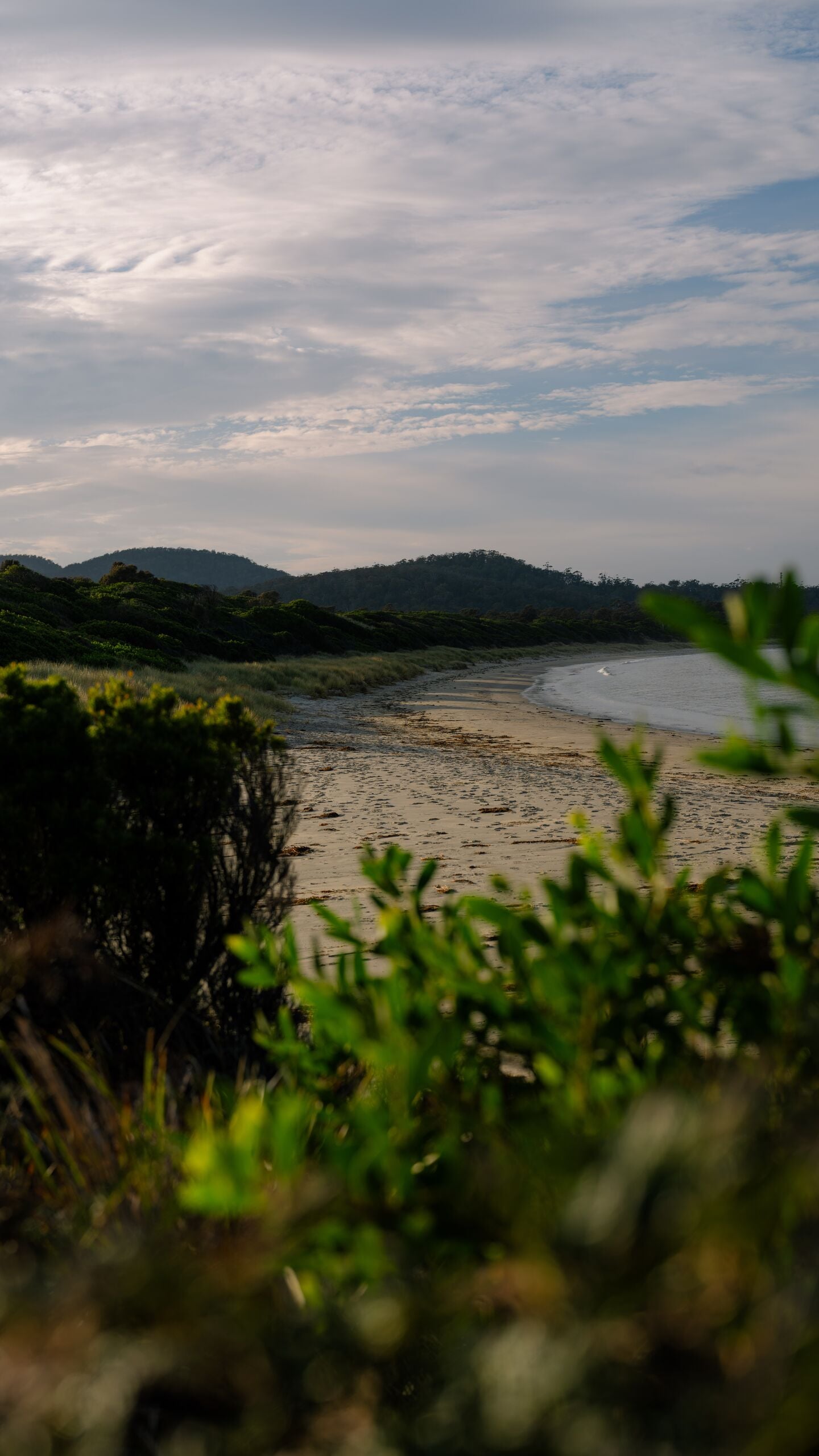 Saffire Walks - Muirs Beach 1271