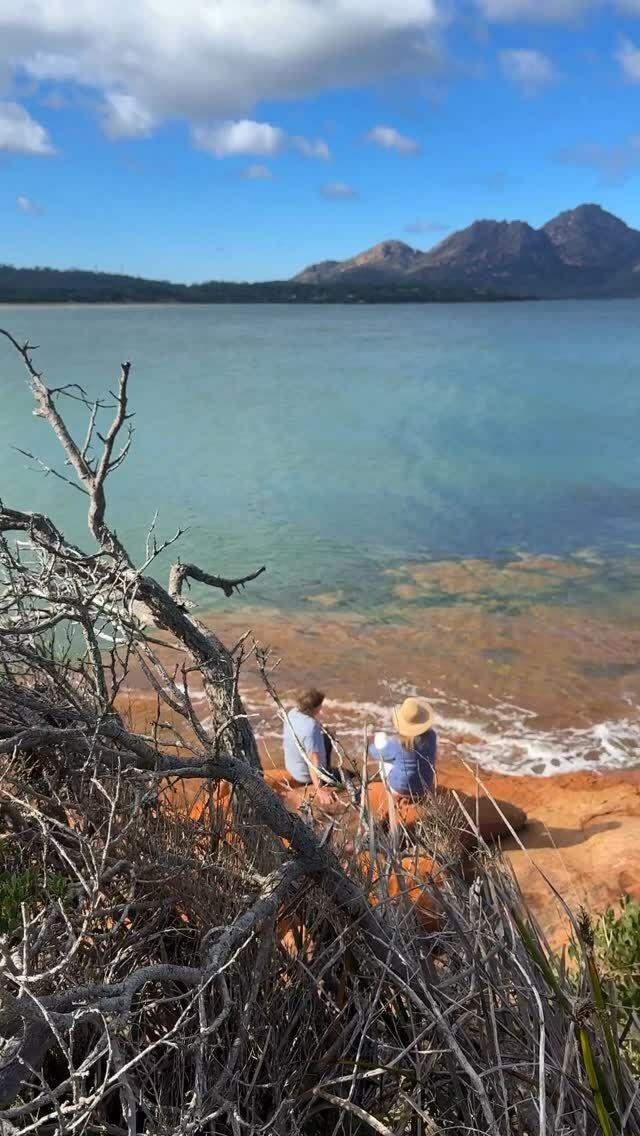 The striking orange, lichen-covered rocks in front of Saffire on Muirs Beach is one of our favourite spots. From here, you get an uninterrupted view of the Hazards, with the added tranquillity of the waves softly surging into rock pools.

#saffirefreycinet #luxurylodgesofaustralia #discovertasmania #tasmania #eastcoasttasmania #nature #travelaustralia #australia